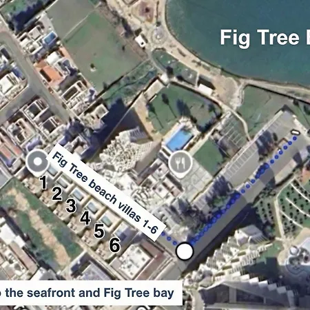 Fig Tree Six Protaras