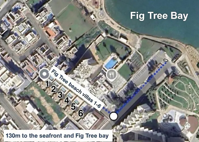 Fig Tree Six بروتاراس