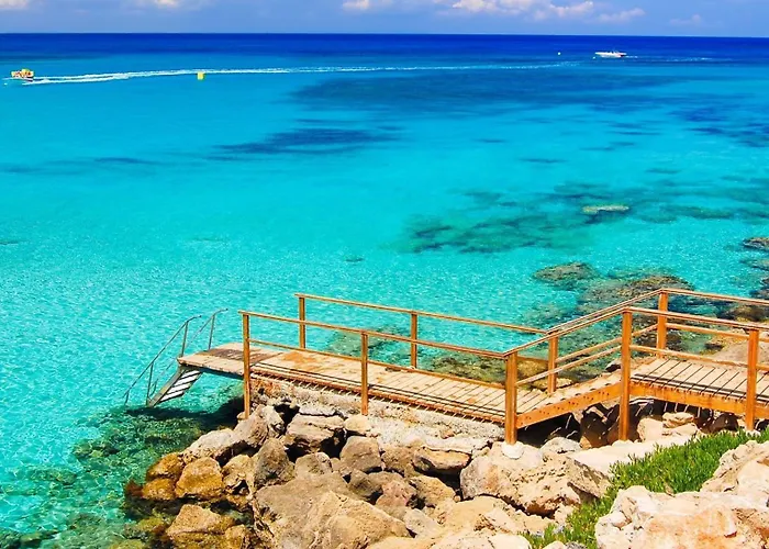 Fig Tree Six فيلة *