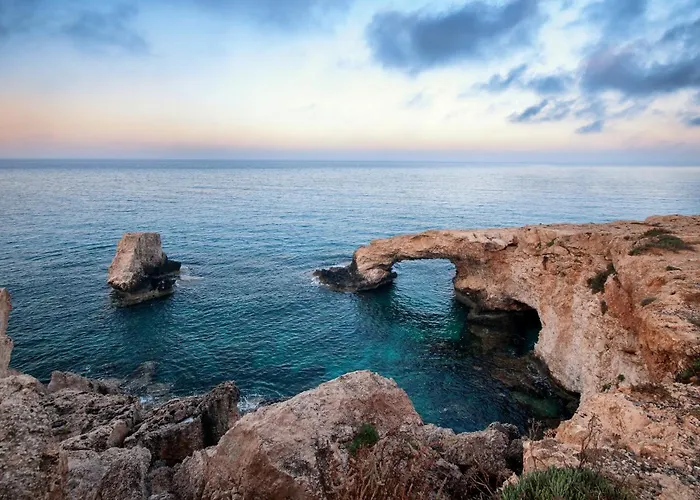 Fig Tree Six بروتاراس